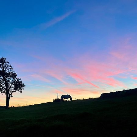 Auszeit Altenhorst, Gartenferienwohnung Schalksmuhle Exterior foto