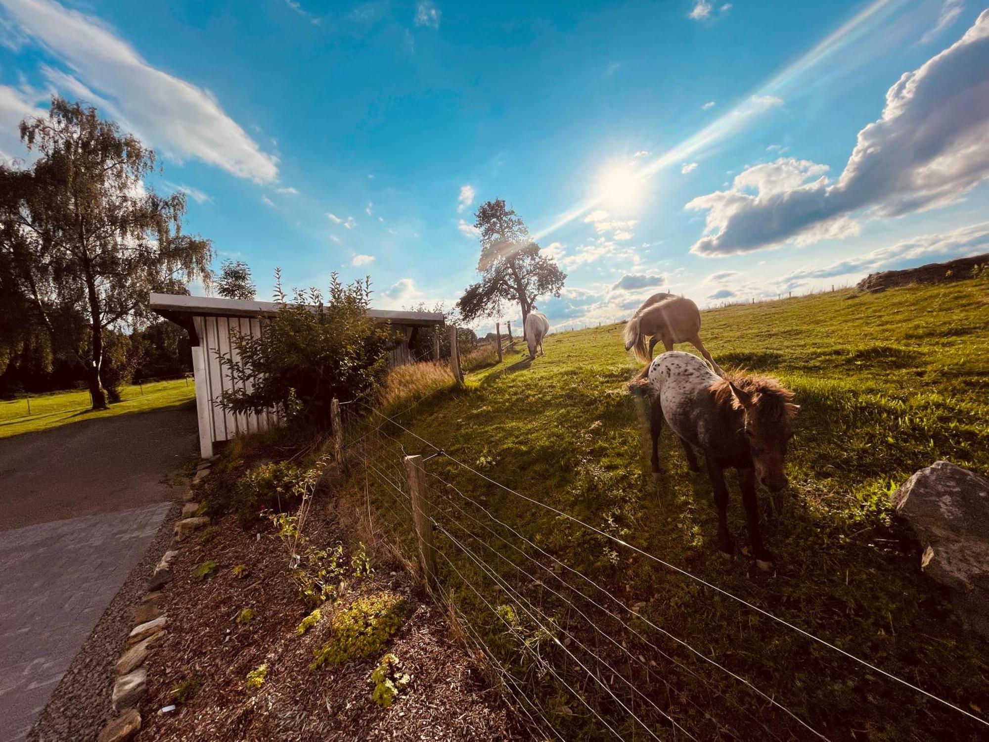 Auszeit Altenhorst, Gartenferienwohnung Schalksmuhle Exterior foto